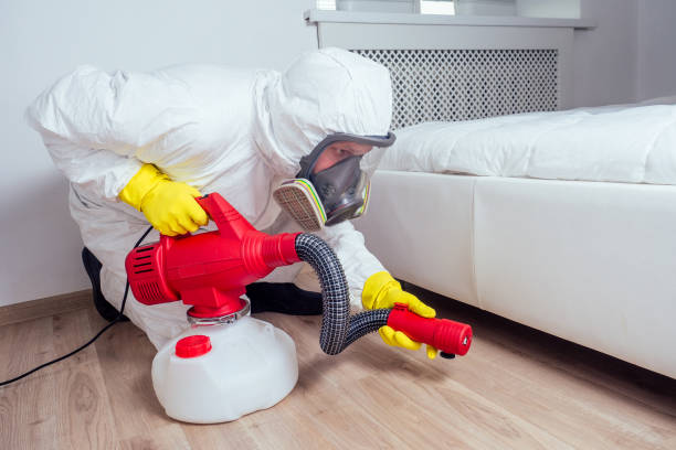 Best Fumigation Services  in Santa Clara, CA